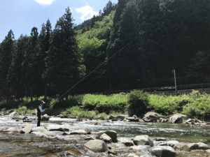 鮎釣り-友釣りという伝統的釣法 2017/7/19